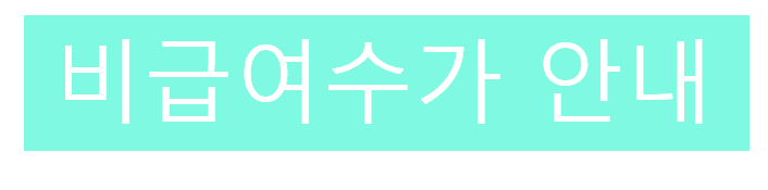진료수가표